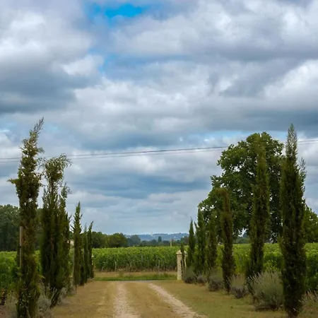 Chateau Vieux Clos Elise Saint-Émilion
