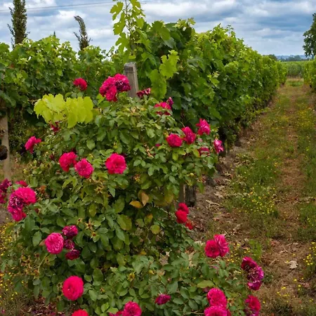 Chateau Vieux Clos Elise 4* Saint-Émilion